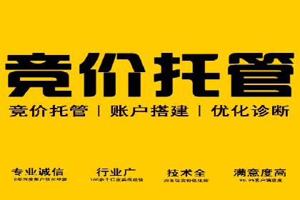 企业SEM服务公司案例分享：SEO实战技巧